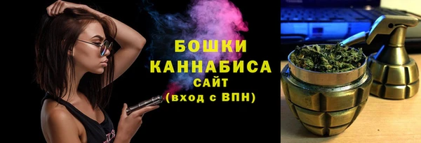 ешки Арсеньев