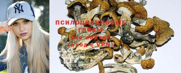 ешки Арсеньев