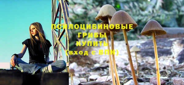 марки lsd Аркадак