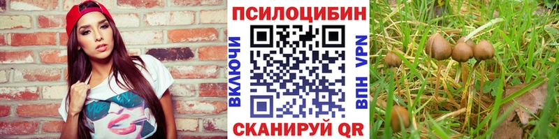 блэк спрут зеркало  Пустошка  Псилоцибиновые грибы GOLDEN TEACHER 